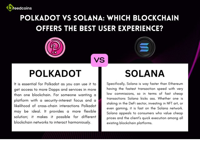 Polkadot Vs Solana.jpg