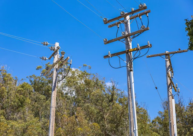 free-photo-of-electricity-poles-and-trees-under-a-blue-sky.jpeg