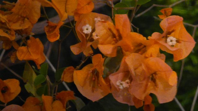 20250330_212406.jpg