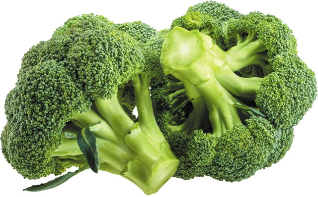 brocolli.jpg