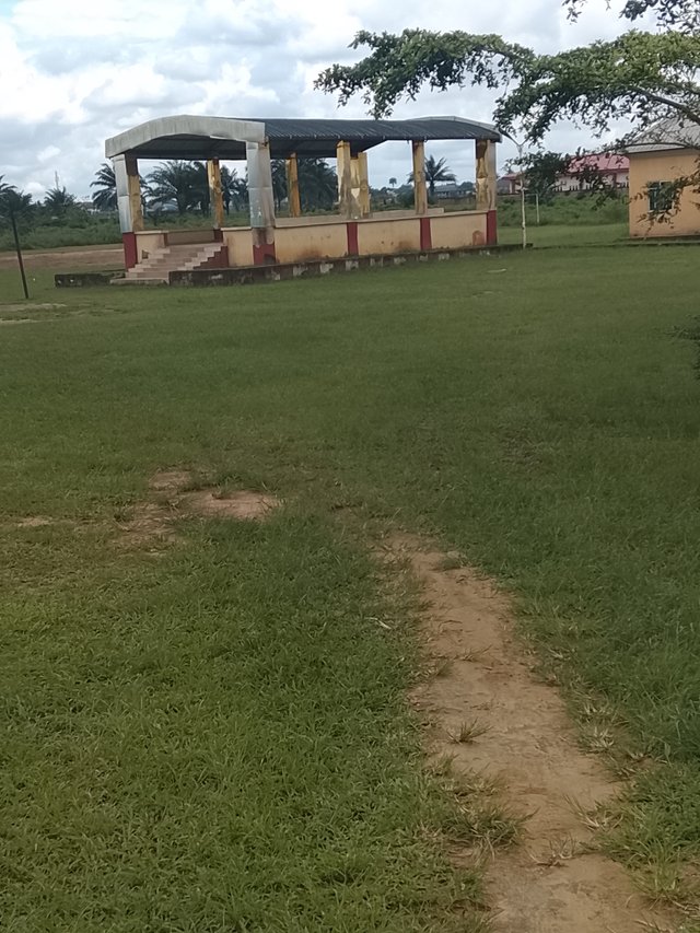1000007353.jpg