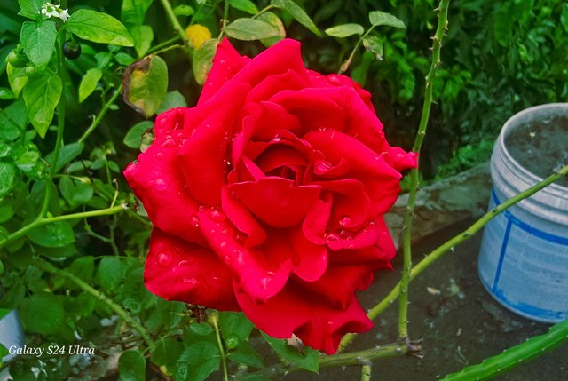 Notes_250716_002651_069.jpg