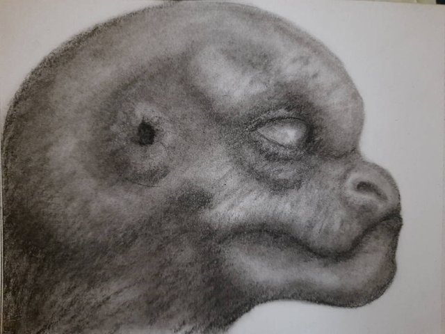 20250925_110632.jpg