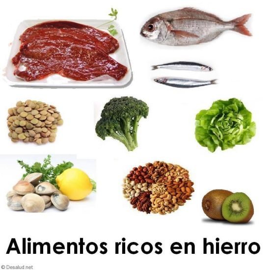 Alimentos-ricos-en-hierro-e1479954385180.jpg