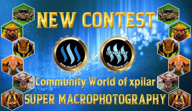 Brand Contest Steem.jpg