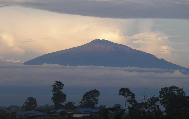 1582874786_0!!-!!mount cameroon tour.jpeg