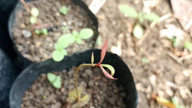 IMG_20250909_154917.jpg