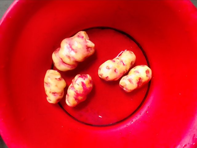 IMG_20250202_123053.jpg