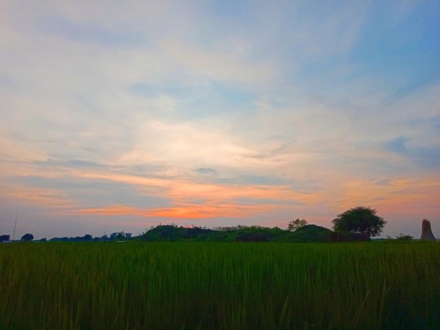 IMG_20250916_102032.jpg
