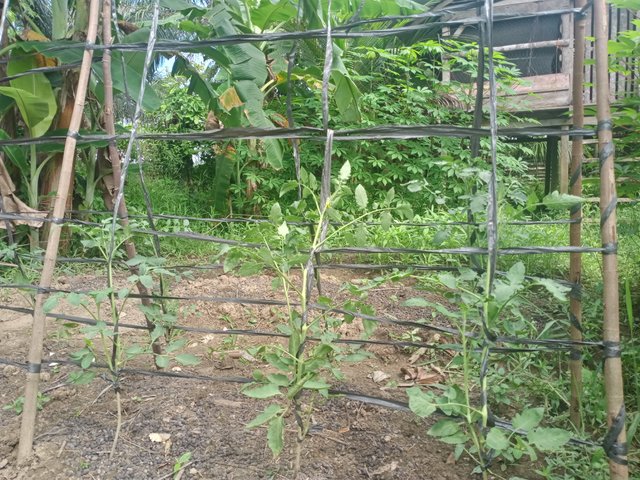 IMG20250618100829.jpg