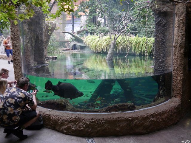 zoo07.JPG