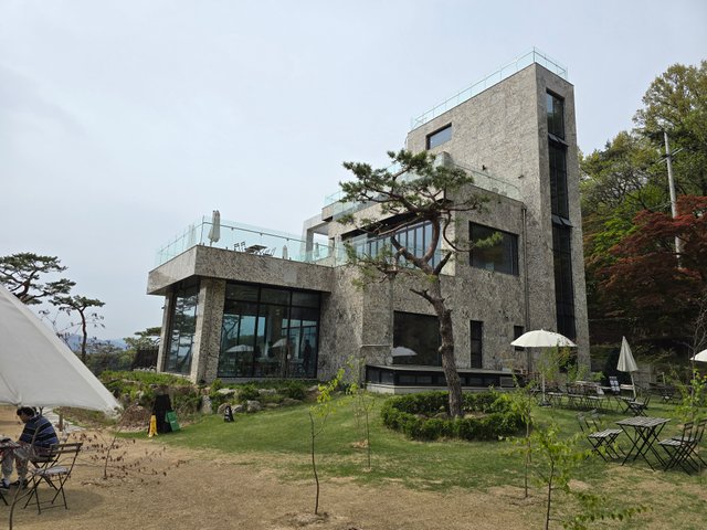 20250427_144611.jpg