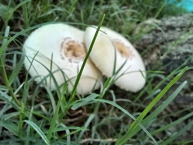 20250524_124047.jpg