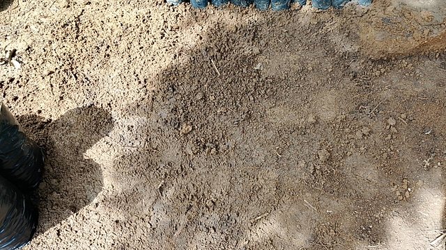 IMG_20250930_150004.jpg