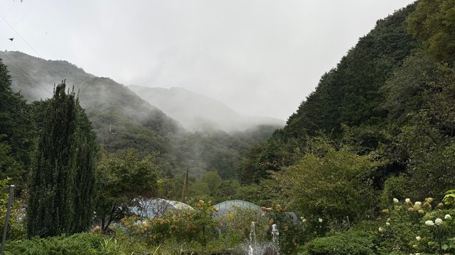 IMG_5018.jpeg