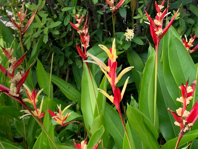 garden124.jpg