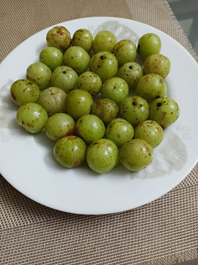 6396.jpg