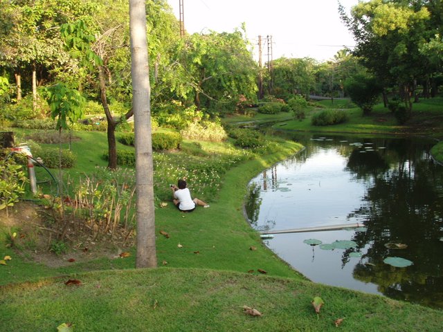 Queen Sirikit Park - close to flowers