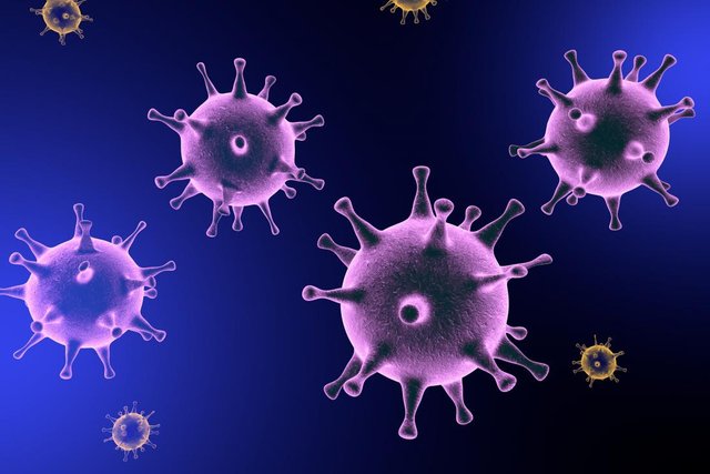 herpesvirus-in-purple.jpg