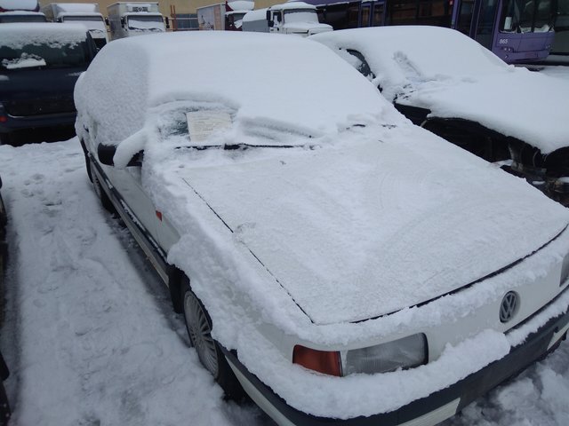 IMG_20230128_114828.jpg