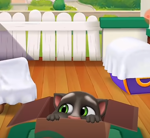 tom1.PNG