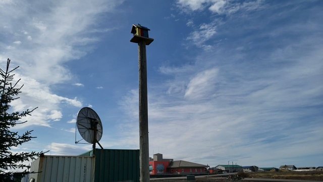 VideoCapture_20190519-144725.jpg