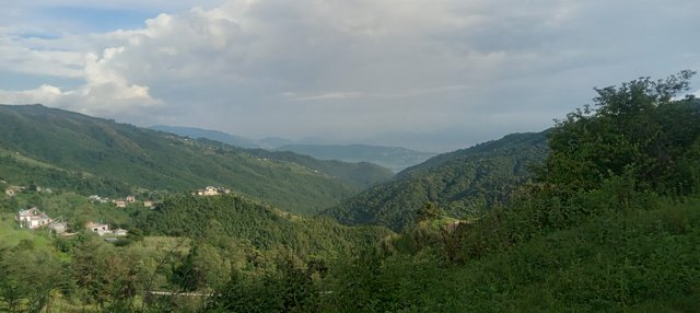20250714_170340.jpg