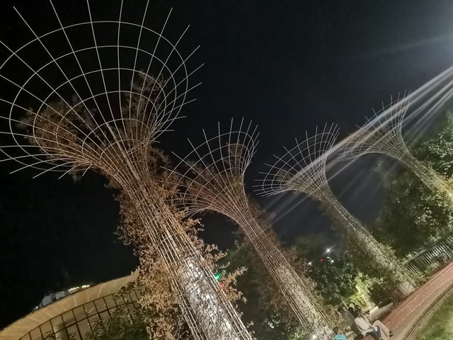 IMG_20240909_195216.jpg
