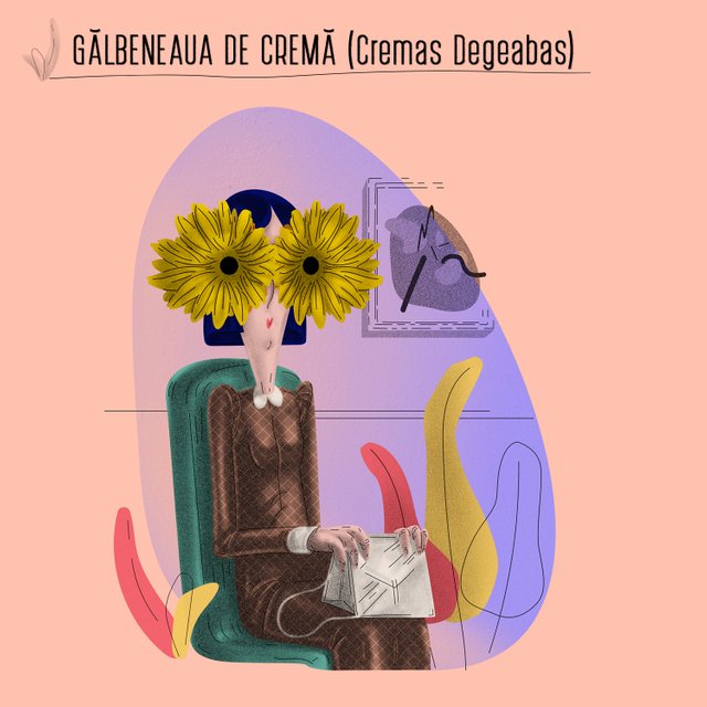 galbeneaua-de-creama.jpg