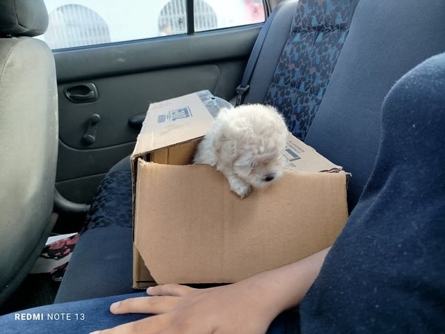 viajando.jpg