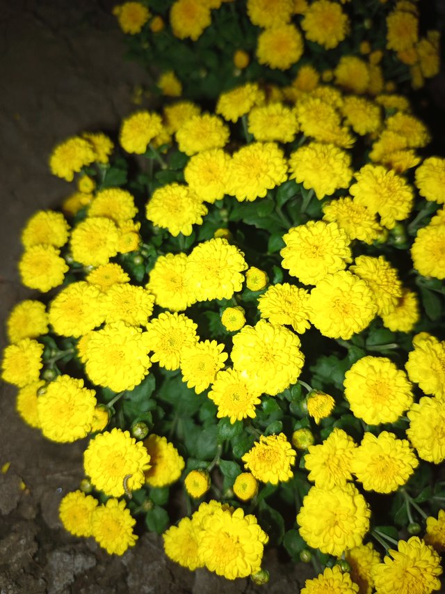 1000002141.jpg