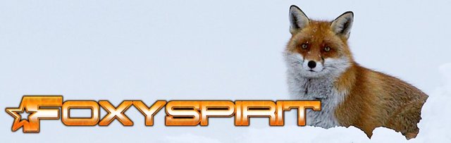 Foxyspirit.jpg
