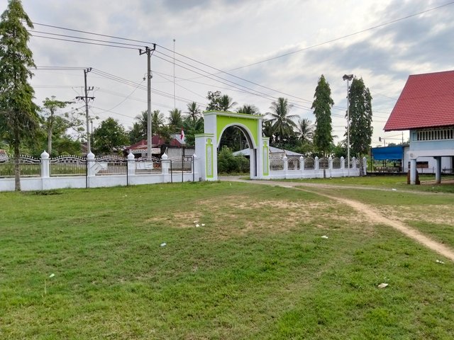 4597.jpg