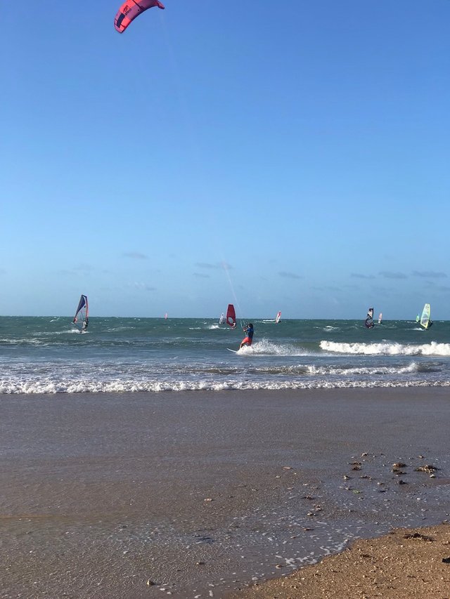 icarai-windsurf.jpeg