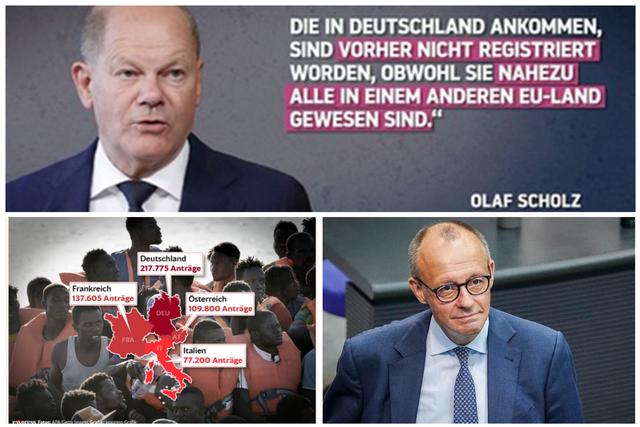 invasion der parasiten.png