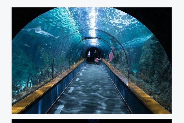 under water tunnel.jpg