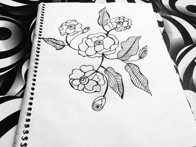 IMG_1290.jpeg