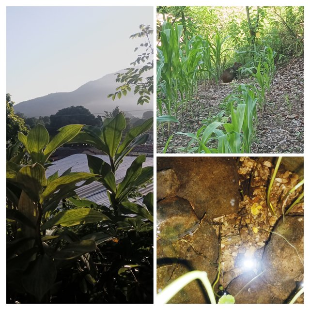 20250911_173415-COLLAGE.jpg