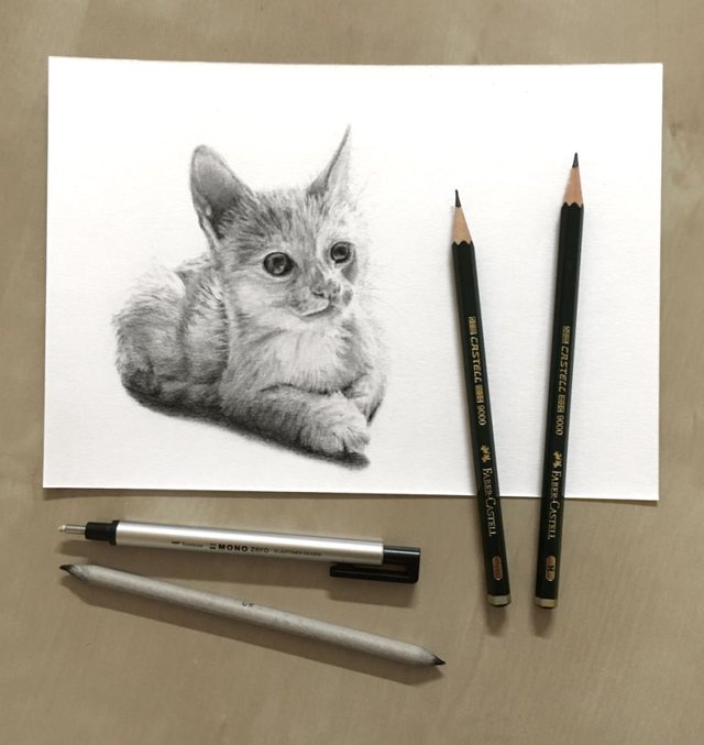 cat-graphite-drawing.jpg