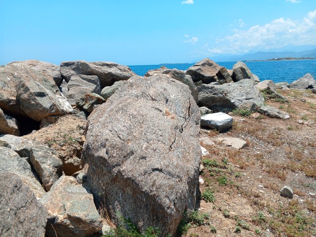 IMG_20240830_114715_674.jpg