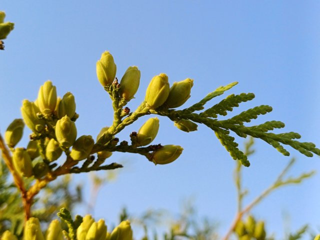 20250710_054549.jpg