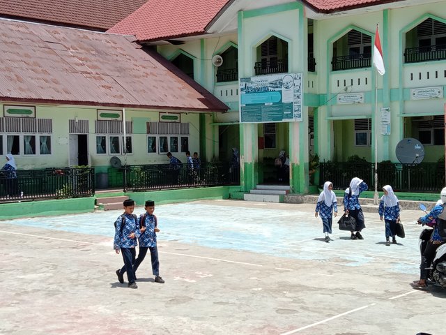 IMG_20250417_120237.jpg