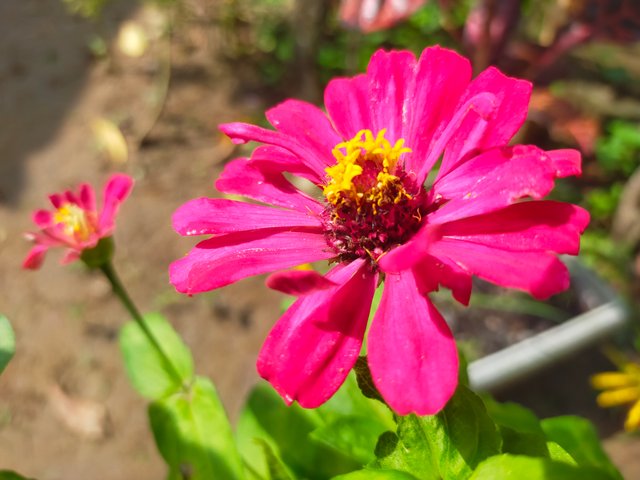 IMG20231206142414.jpg