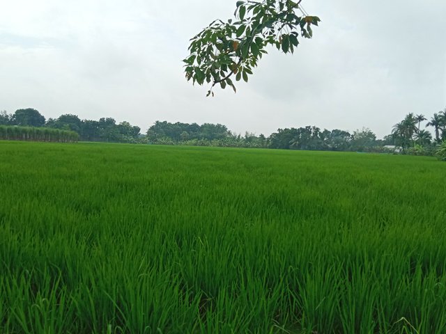 IMG_20250917_193517.jpg