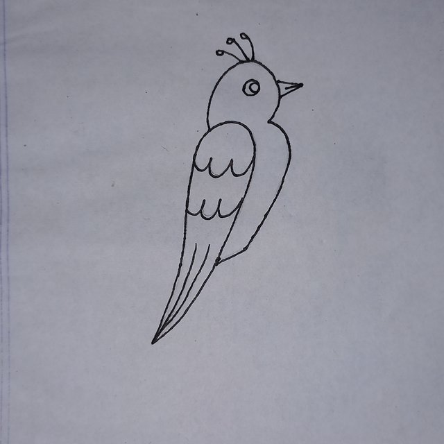 20250815_112109.jpg
