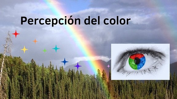 Percepción del color.jpg