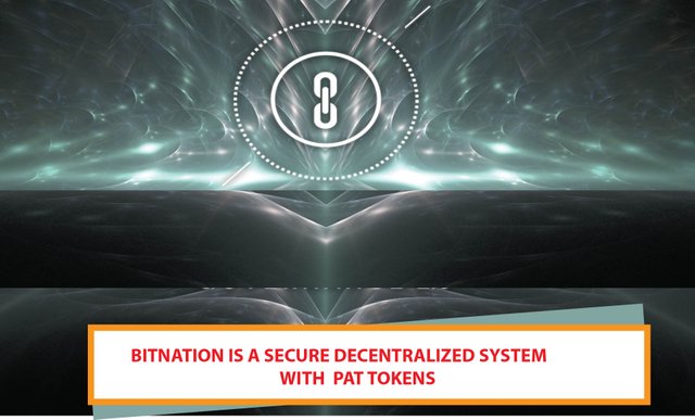 Pat Tokens Bitnation.jpg