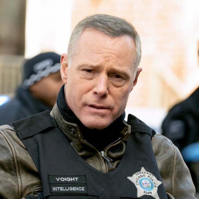 hank_voight.jpg_964676082.jpg