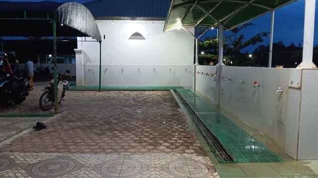20250619_185831.jpg