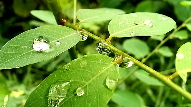 20250718_152120.jpg